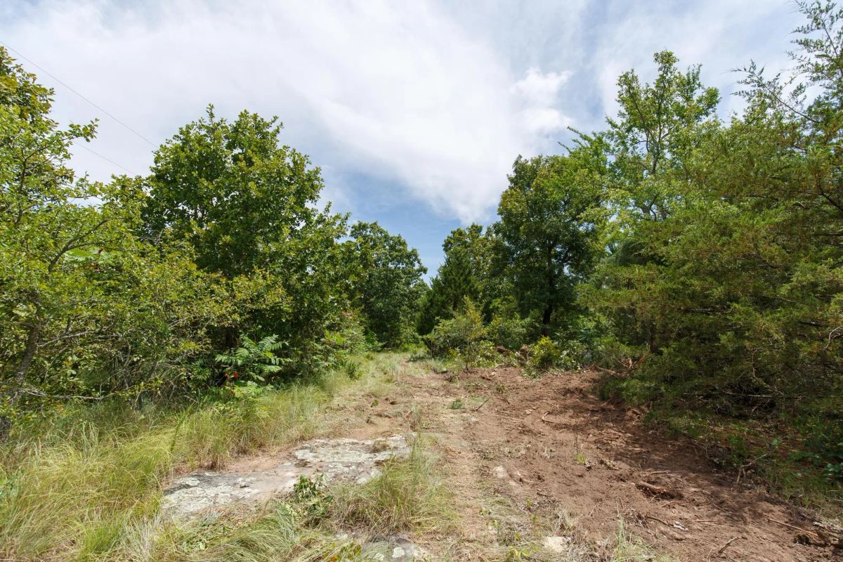 Decorative background for Timber Ridge Tract 13 image 5