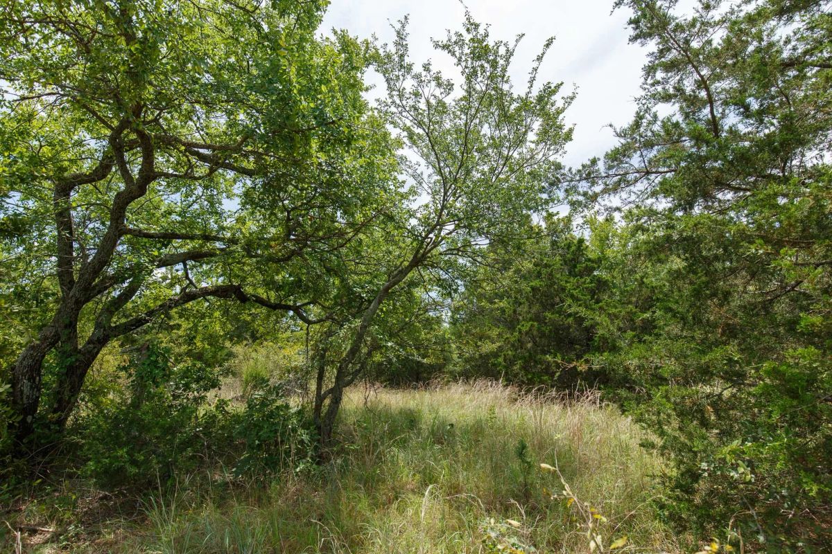 Decorative background for Timber Ridge Tract 13 image 6