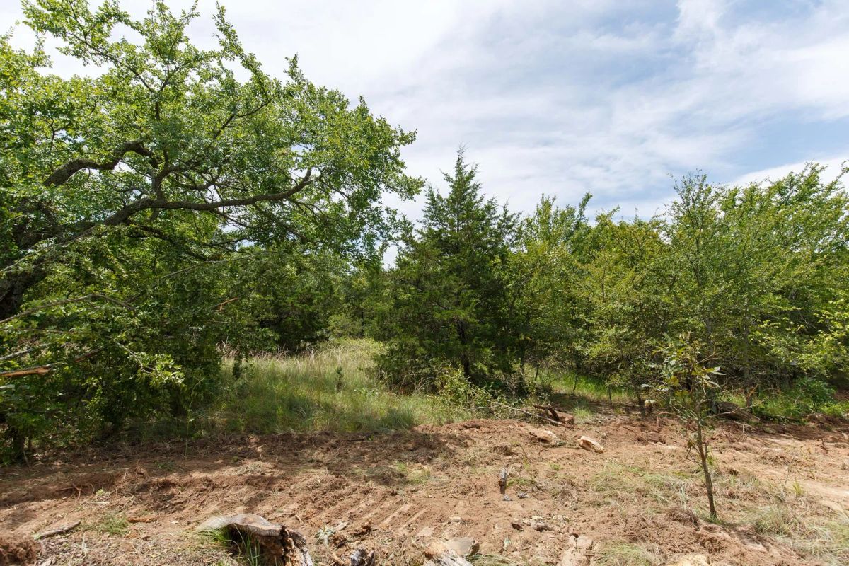 Decorative background for Timber Ridge Tract 13 image 7