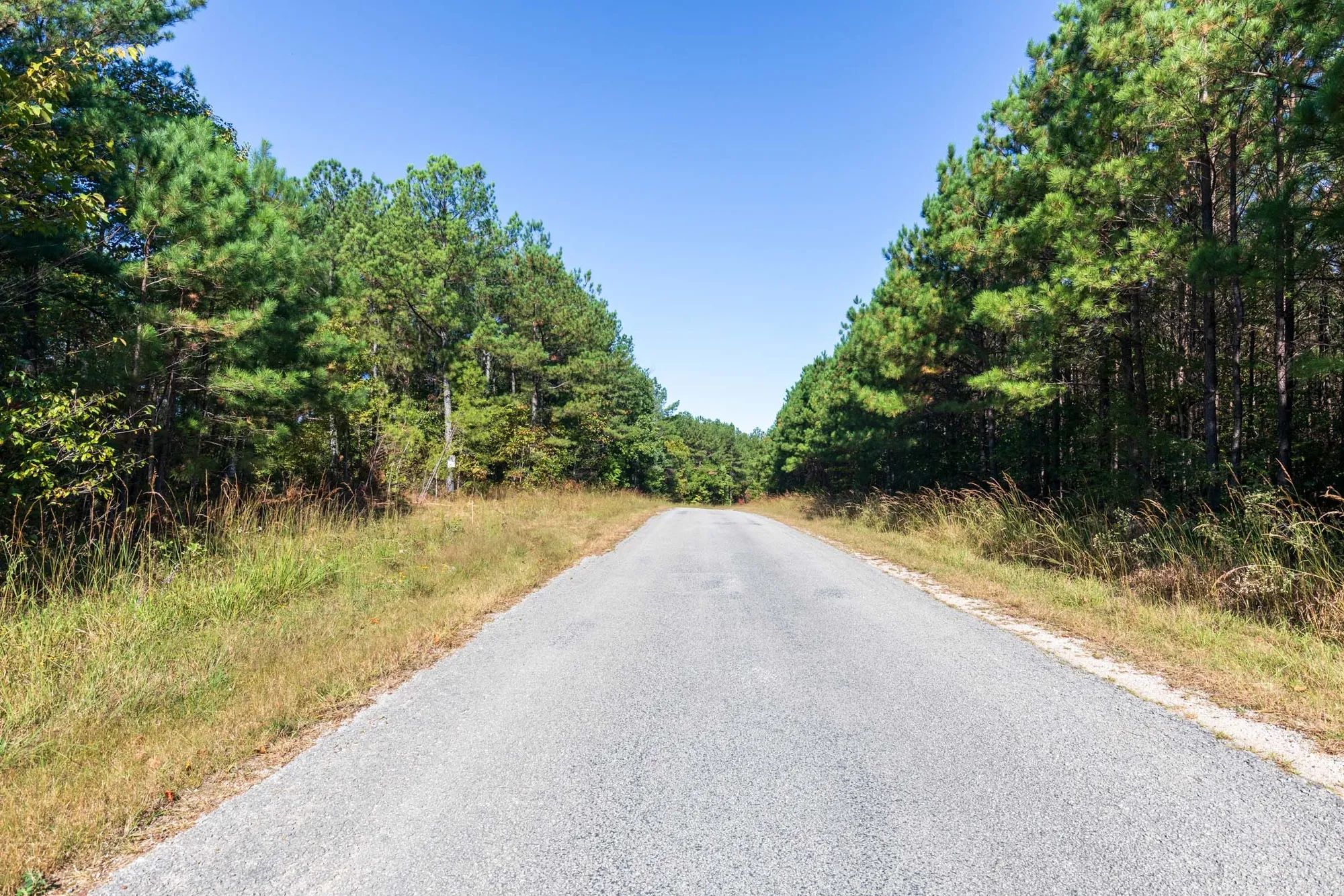 Bear Brook Tract 1 in Perry County, TN