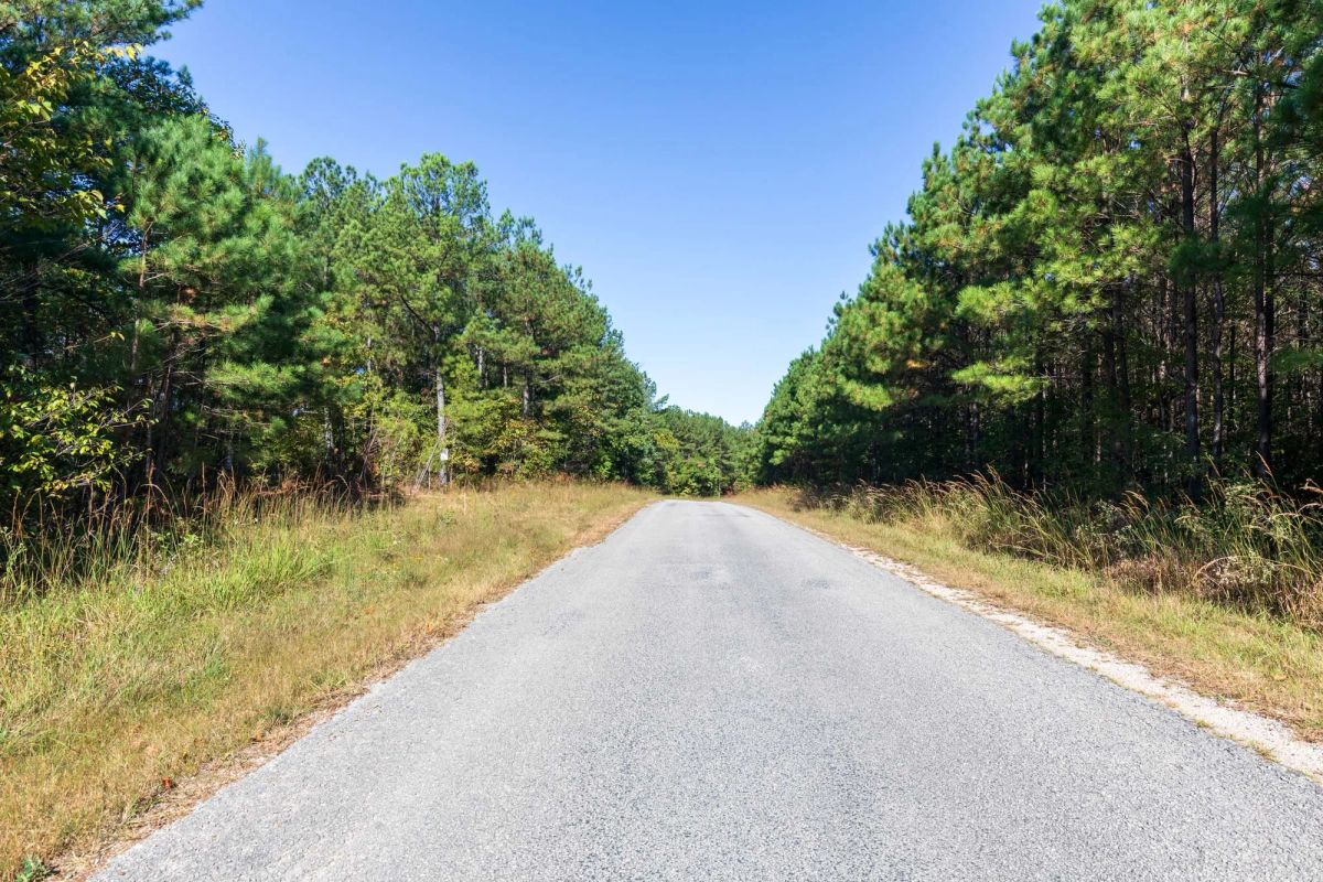 Bear Brook Tract 1 - Main image