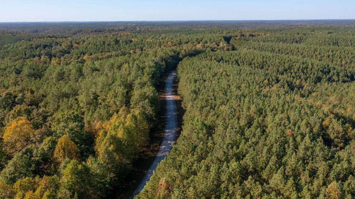 Bear Brook Tract 1 - Image 2