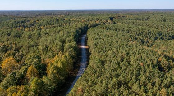 Bear Brook Tract 1 in Perry County, TN