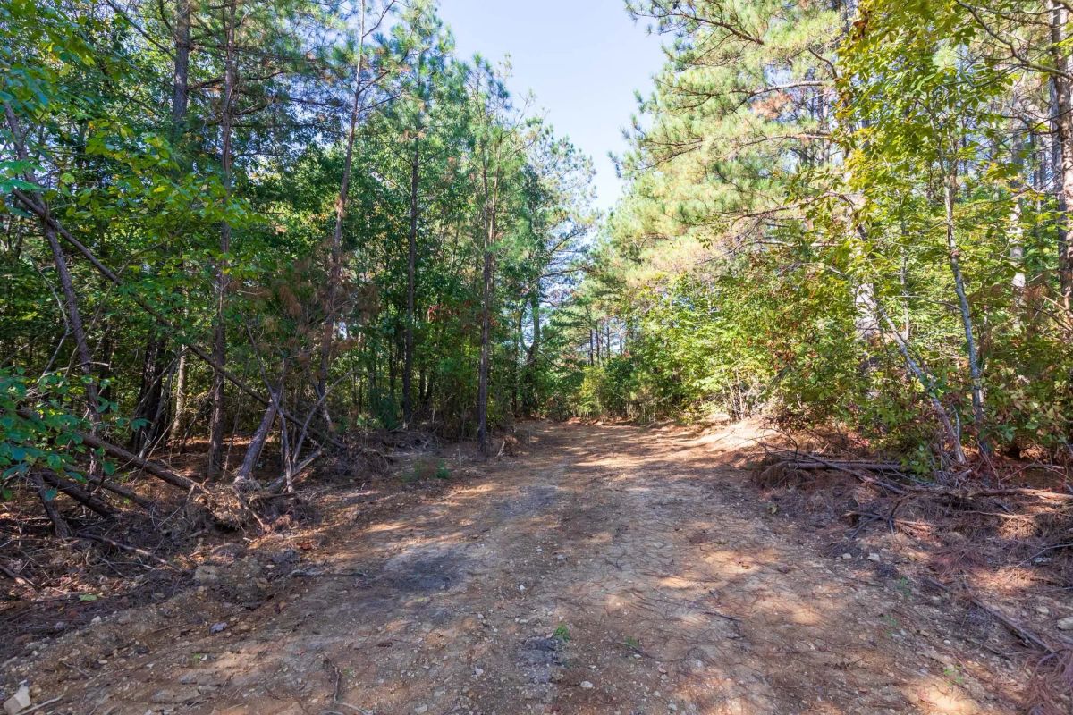 Decorative background for Bear Brook Tract 1 image 11