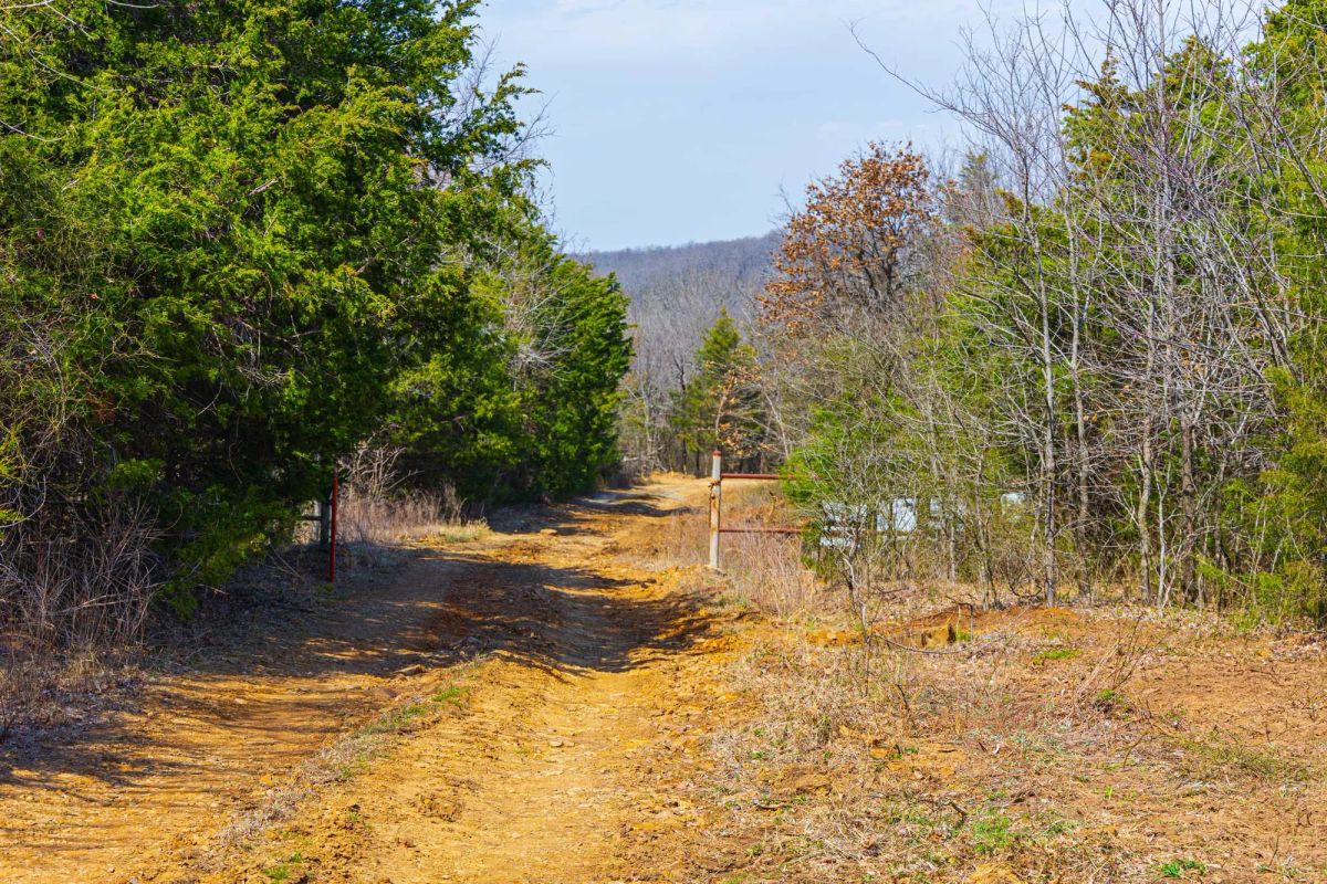 Reserves At Cattail Cove Phase I Tract 25 - Image 3