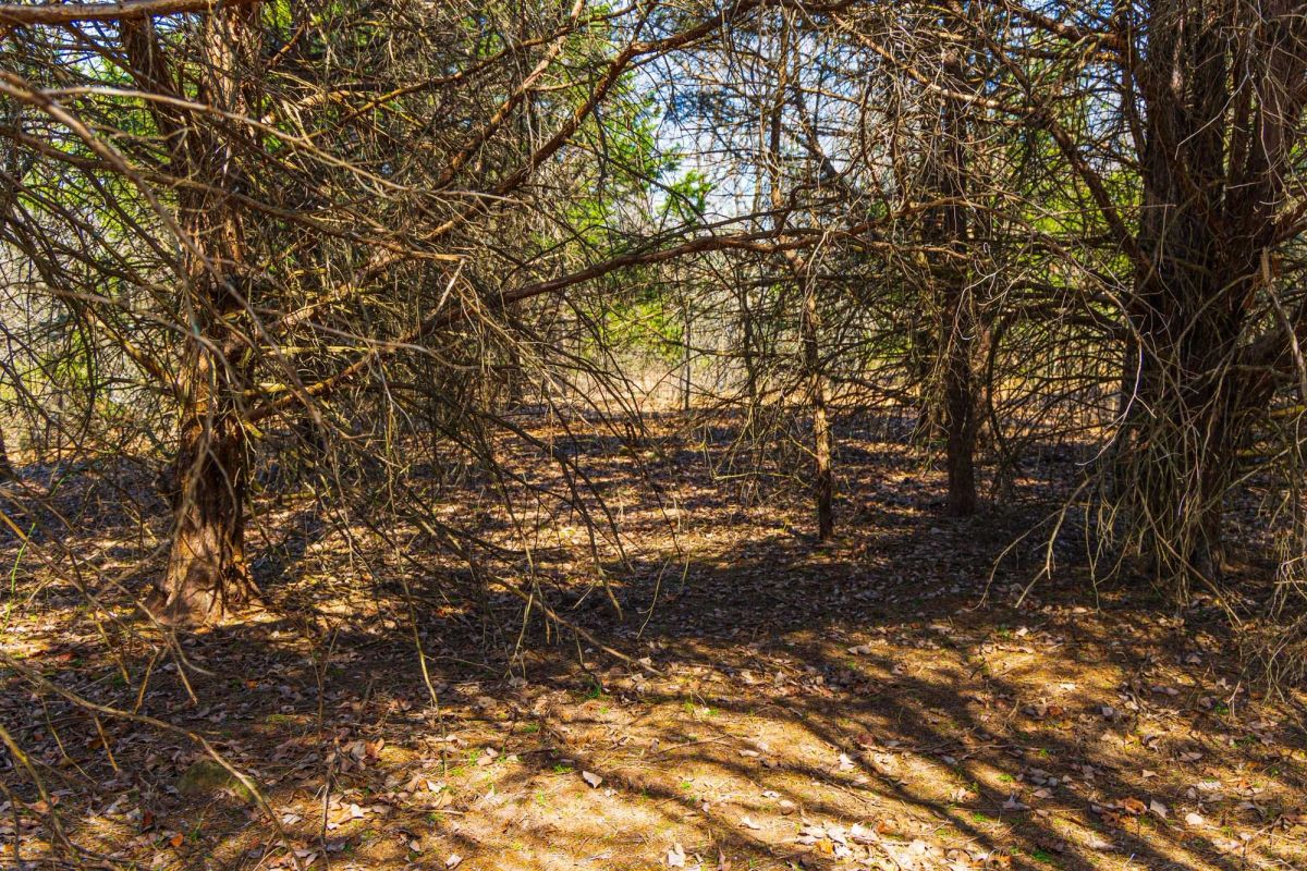 Decorative background for Reserves At Cattail Cove Phase I Tract 25 image 12