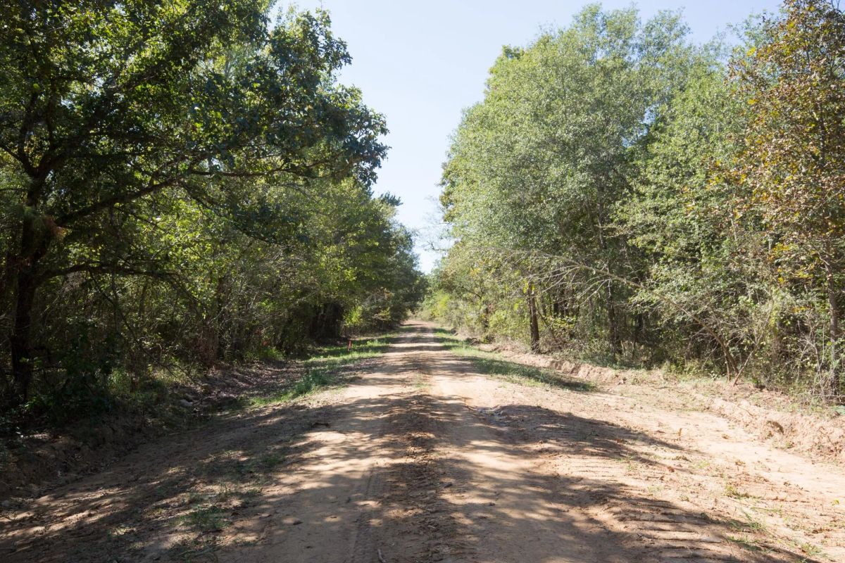 Decorative background for Stone Bridge Phase I Tract 26 image 5