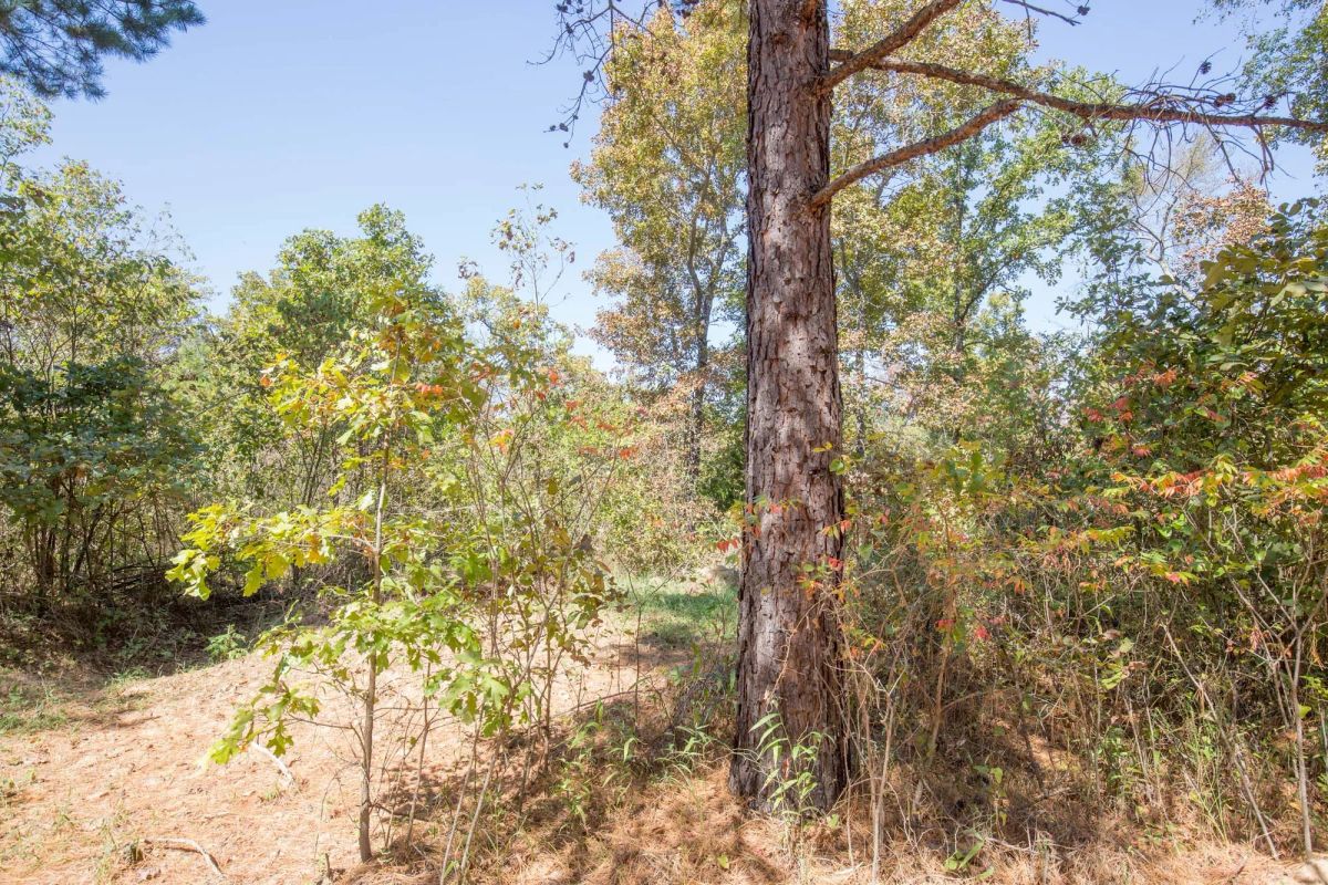 Decorative background for Stone Bridge Phase I Tract 26 image 6