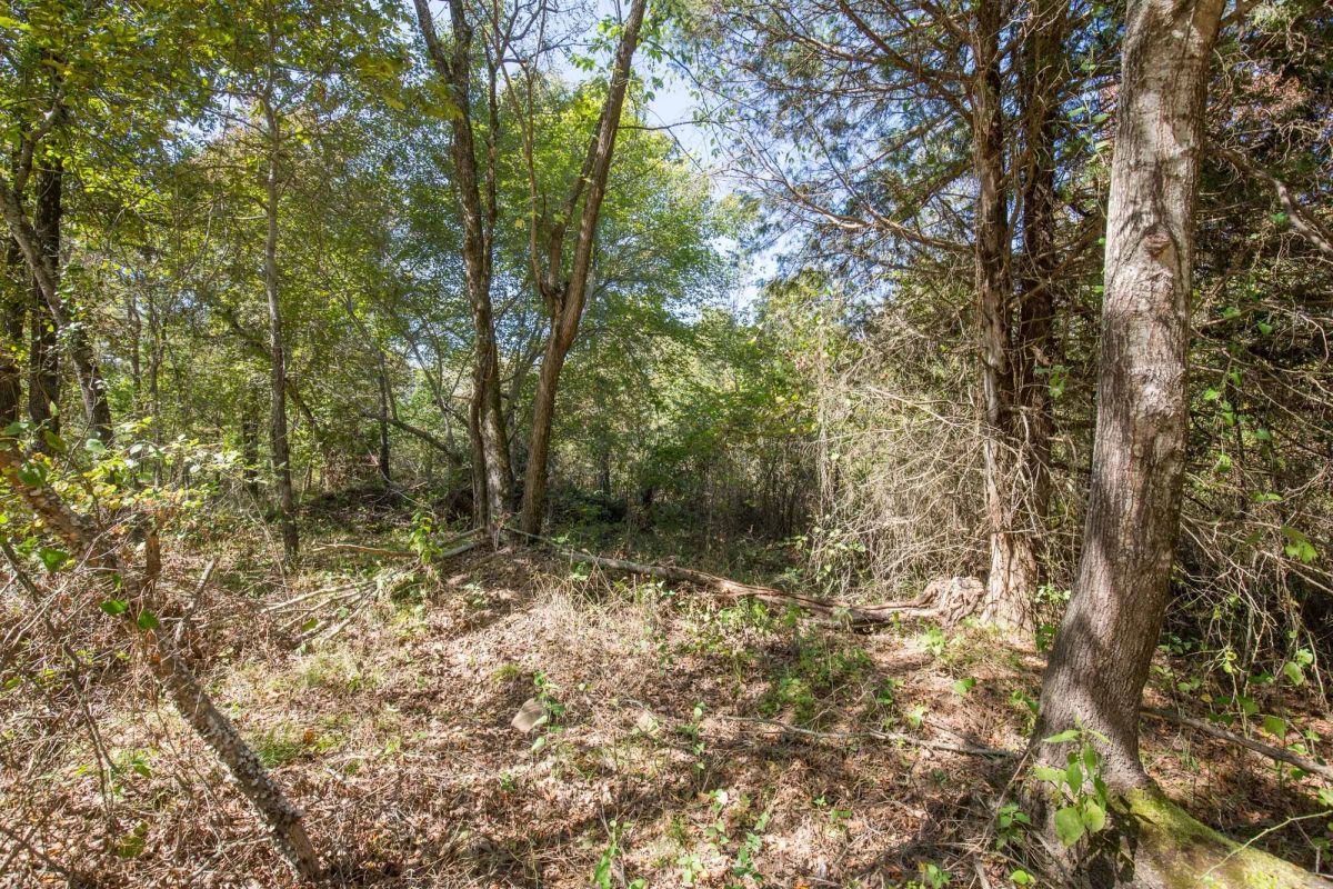 Decorative background for Stone Bridge Phase I Tract 26 image 7