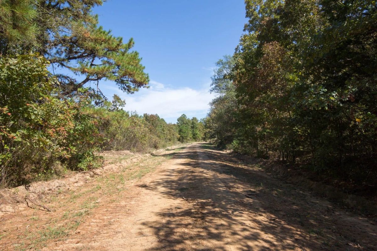 Decorative background for Stone Bridge Phase I Tract 26 image 8