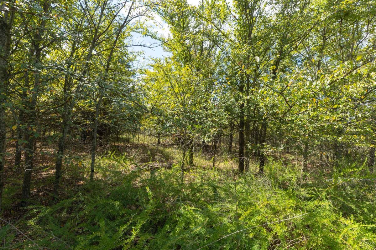 Reserves At Cattail Cove Phase II Tract 100 - Image 4