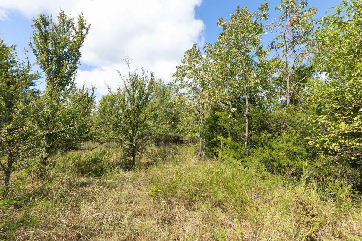 Decorative background for Reserves At Cattail Cove Phase II Tract 100 image 6