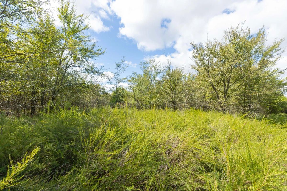 Decorative background for Reserves At Cattail Cove Phase II Tract 100 image 12