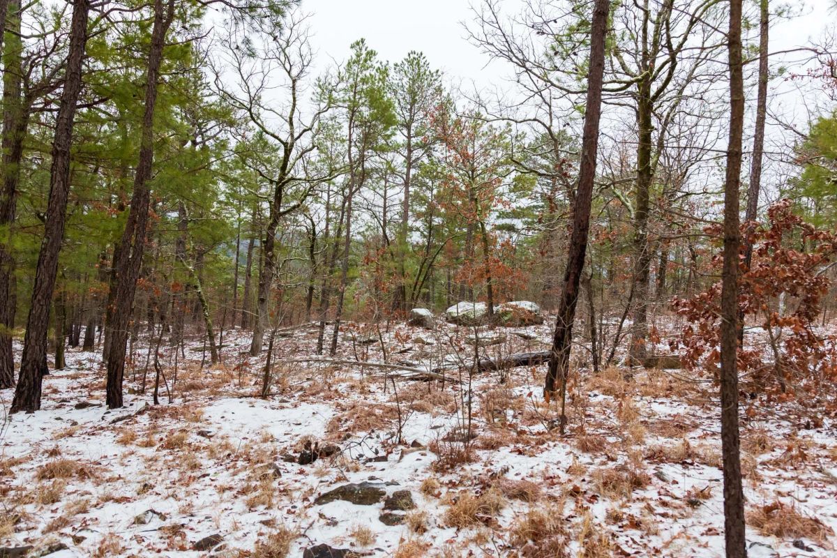 Decorative background for Stone Bridge Phase IV Tract 237 image 8