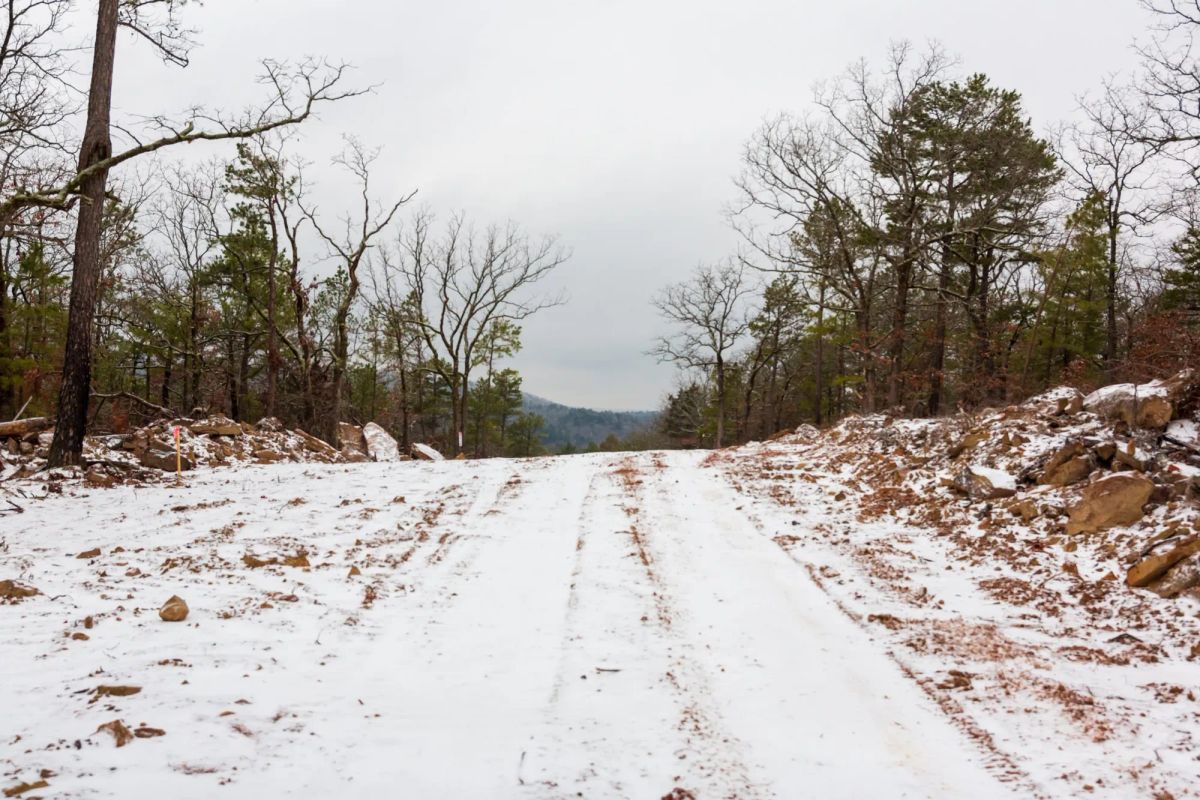 Decorative background for Stone Bridge Phase IV Tract 237 image 10