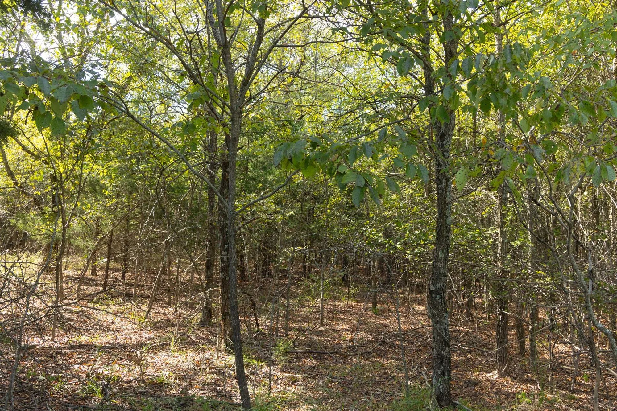 Reserves At Cattail Cove Phase II Tract 83 in Pittsburg County, OK