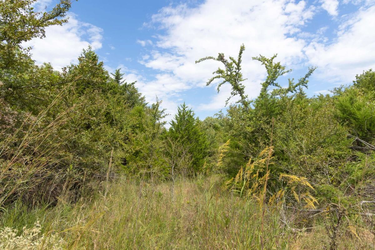 Decorative background for Reserves At Cattail Cove Phase II Tract 83 image 8