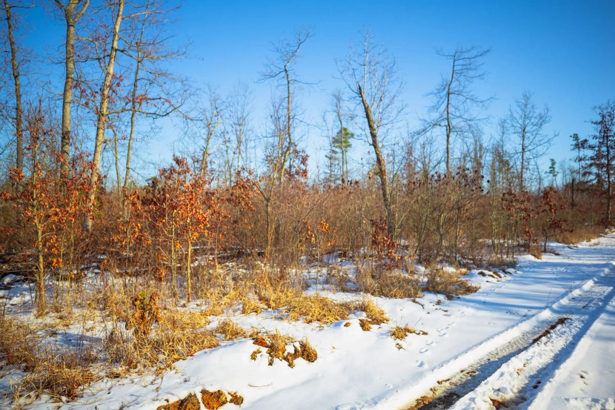 Sleepy Hollow Phase I Tract 29 - Image 4