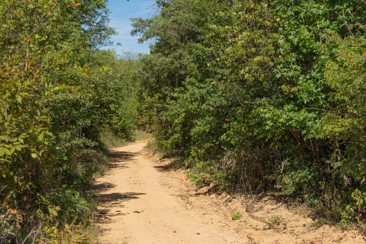 Big White Oak Tract 103 - Main image