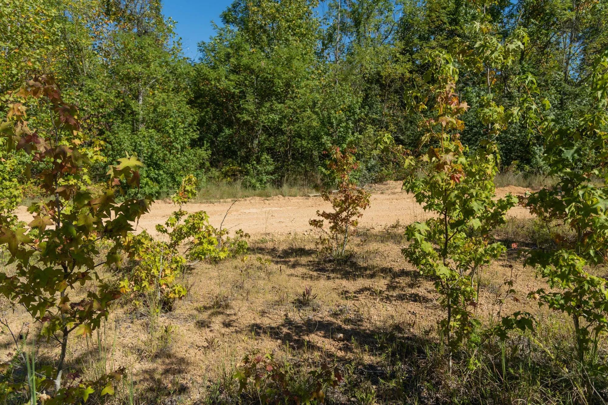Big White Oak Tract 103 in Perry County, TN