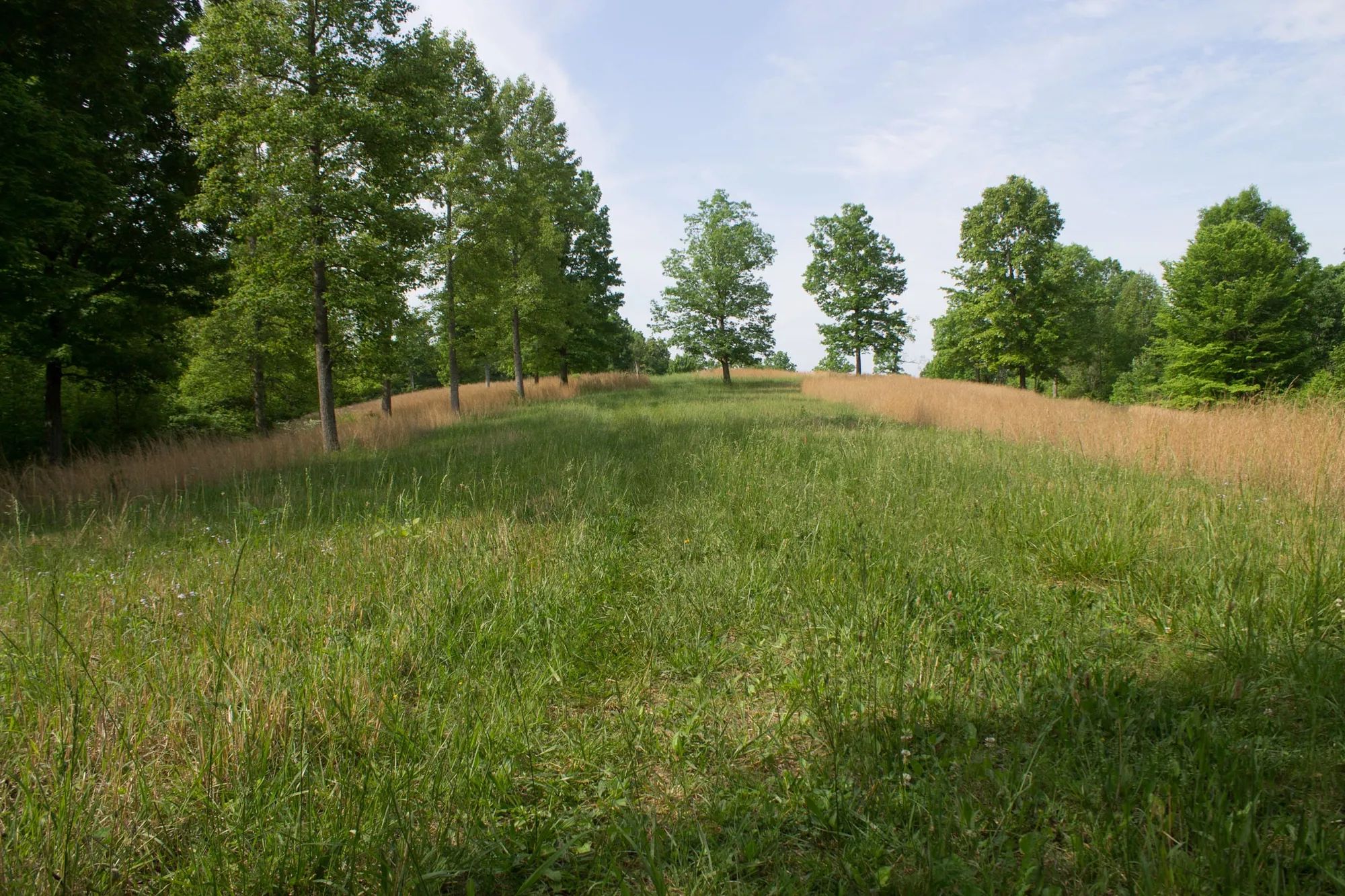 Laurel Ridge Tract 4 in Casey County, KY