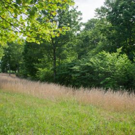 Laurel Ridge Tract 4 in Casey County, KY