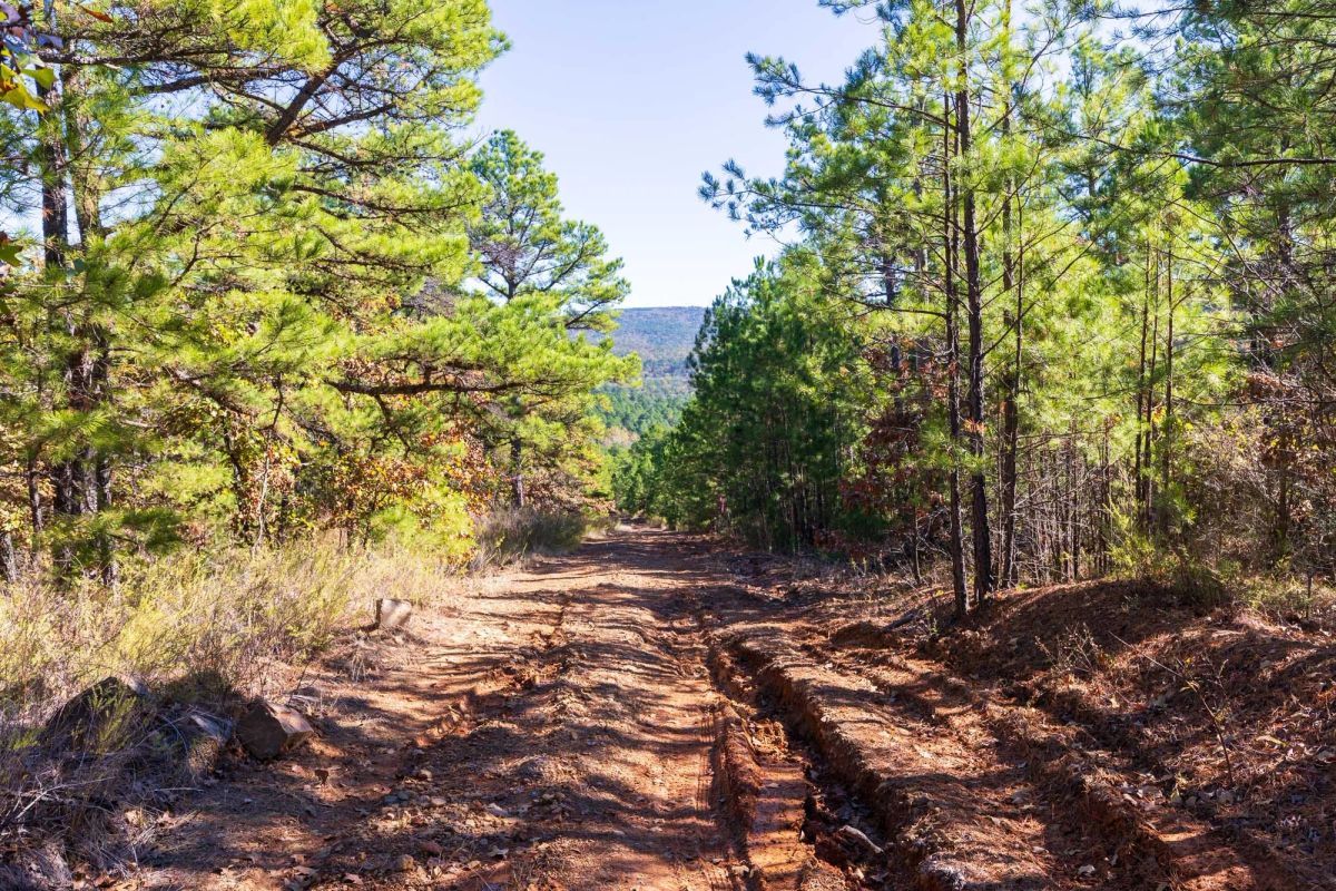 Stone Bridge Reserve Tract 15 - Main image