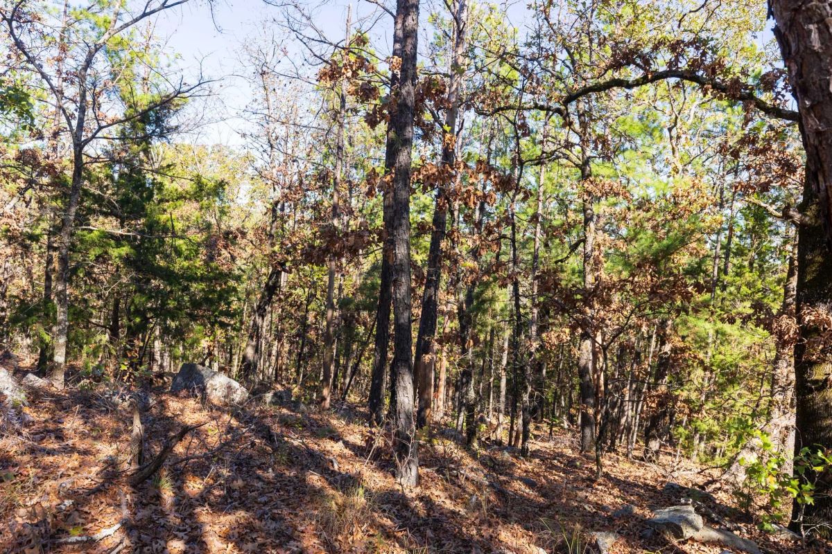 Stone Bridge Reserve Tract 15 - Image 2