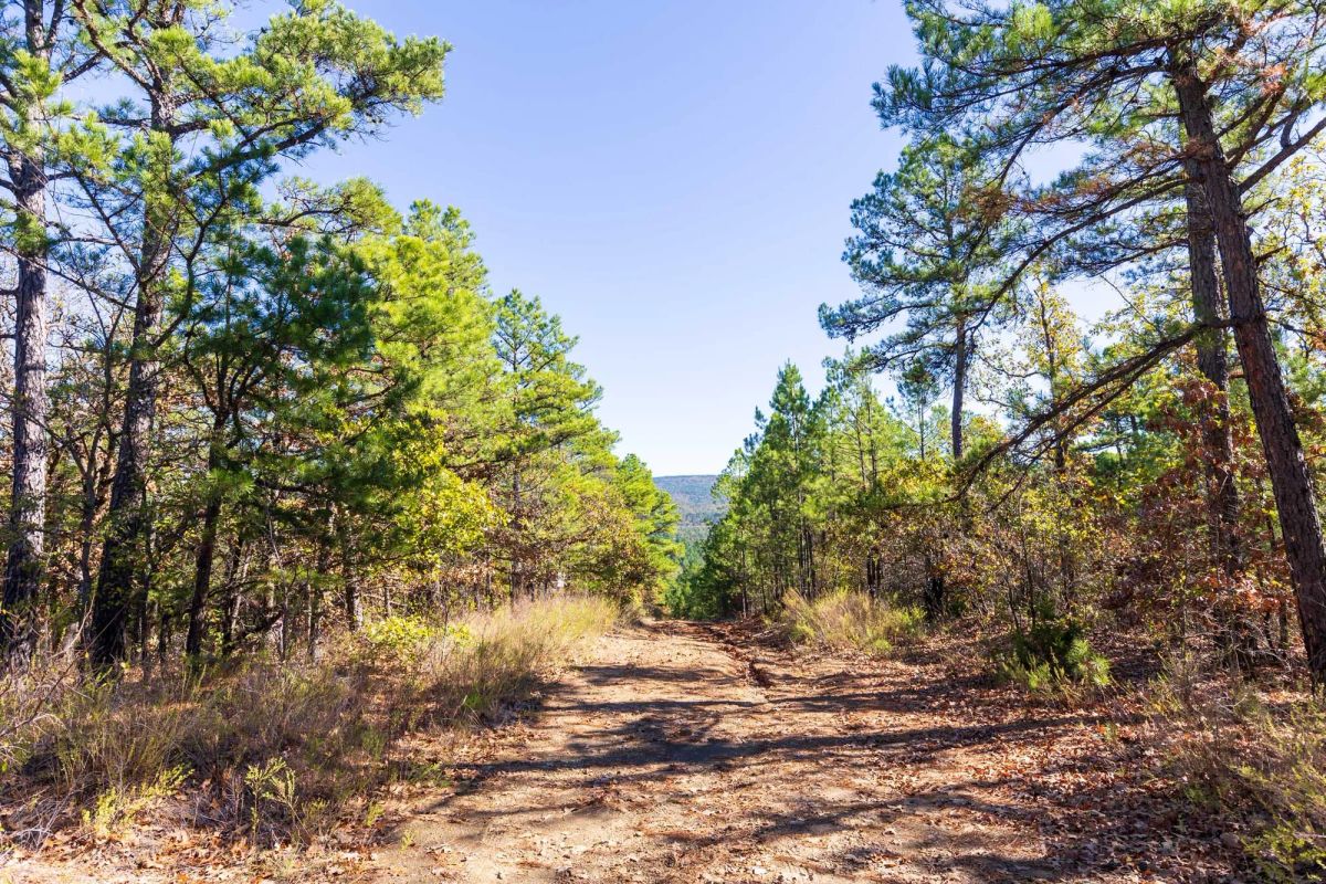 Stone Bridge Reserve Tract 15 - Image 3