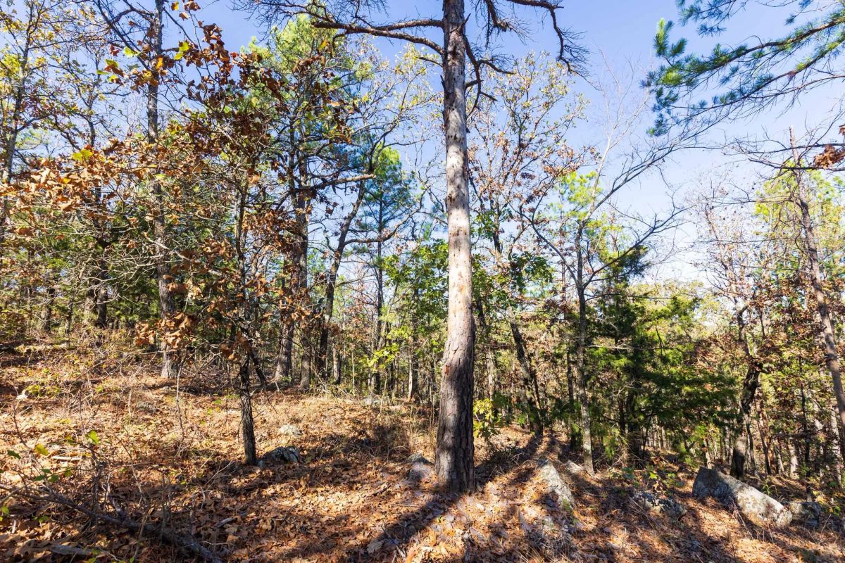 Stone Bridge Reserve Tract 15 - Image 4