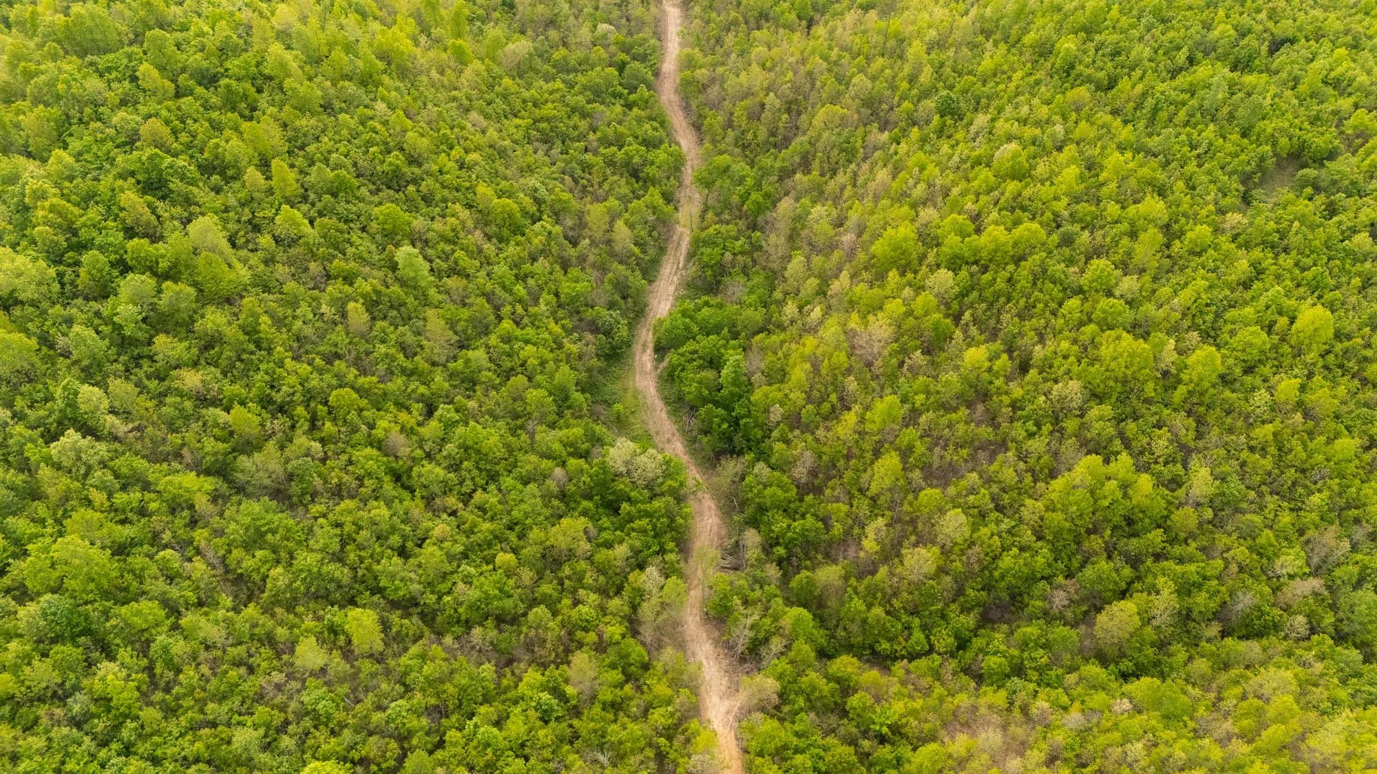 Double S Ranch Tract 5 in Reynolds County, MO