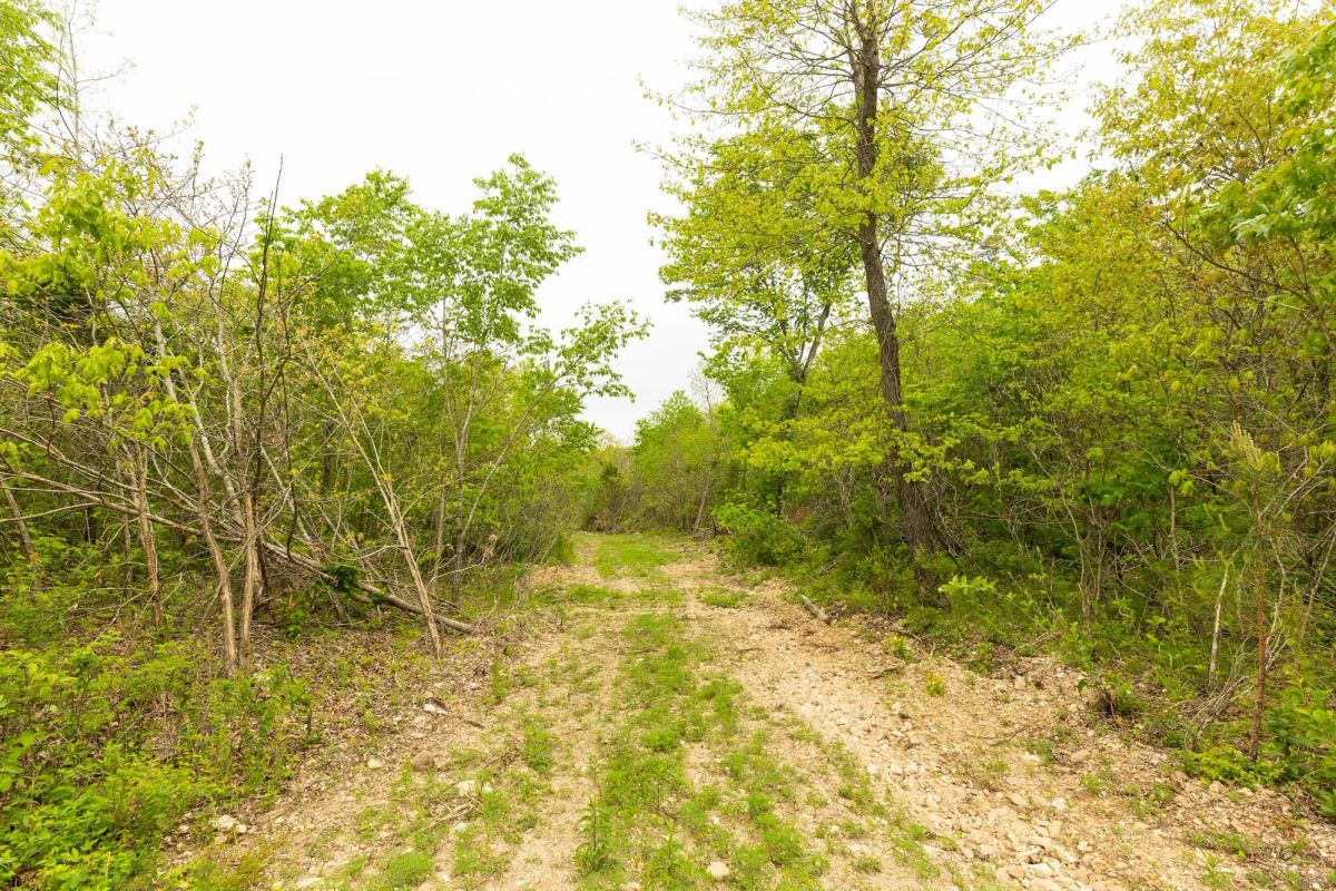 Double S Ranch Tract 5 - Image 2