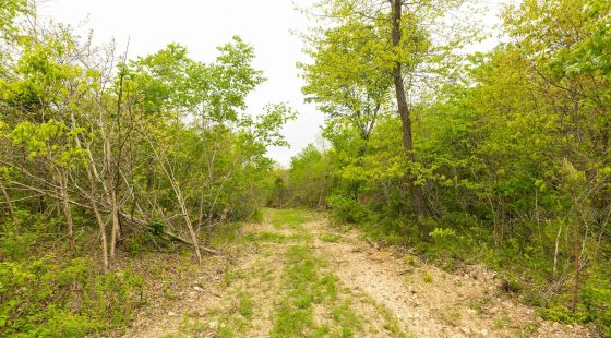 Double S Ranch Tract 5 in Reynolds County, MO