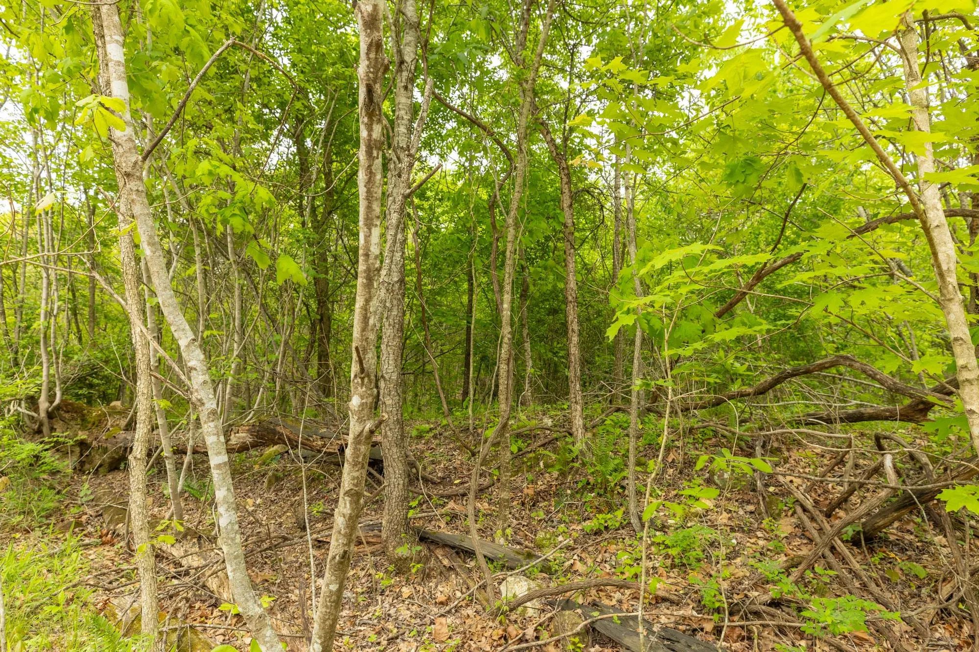 Double S Ranch Tract 5 in Reynolds County, MO