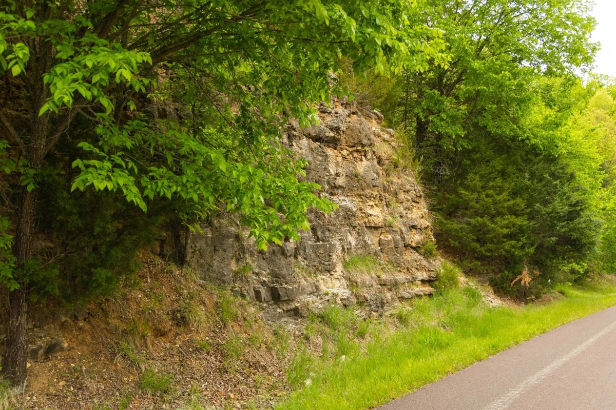 Decorative background for Double S Ranch Tract 5 image 6