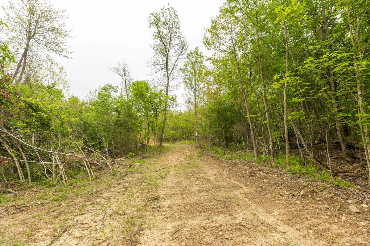 Decorative background for Double S Ranch Tract 5 image 7
