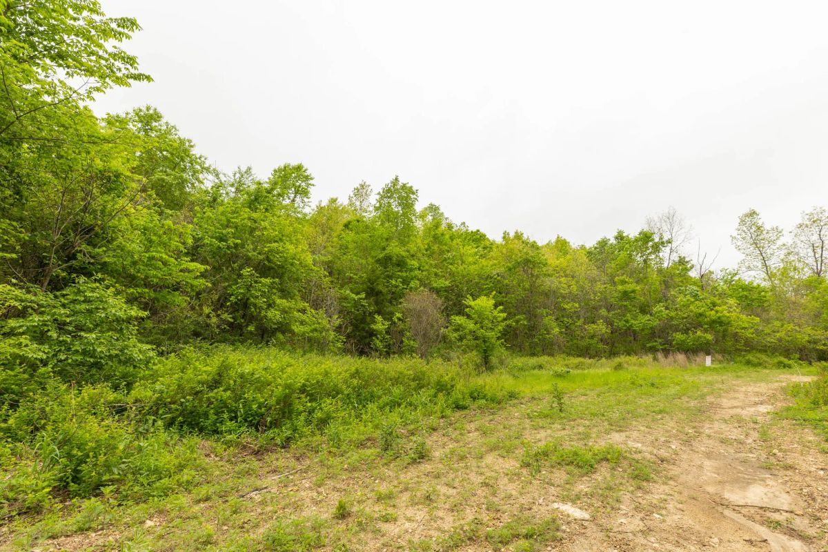 Decorative background for Double S Ranch Tract 5 image 8