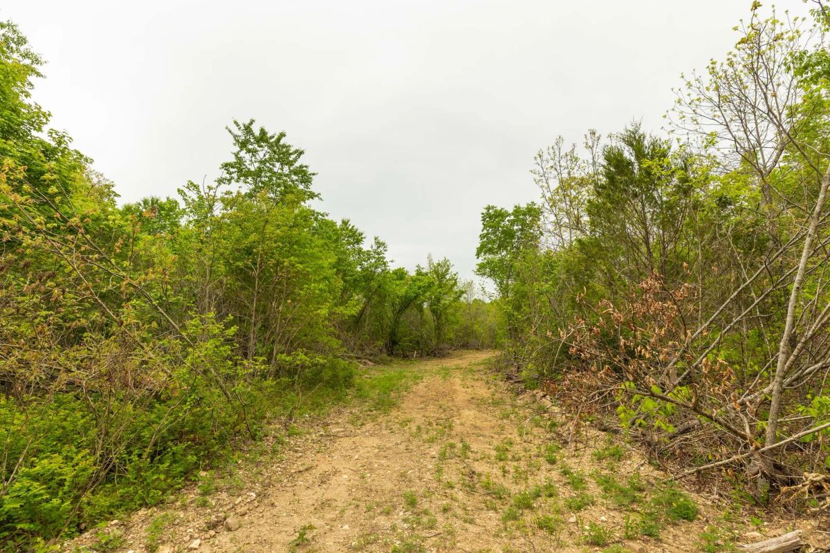 Decorative background for Double S Ranch Tract 5 image 10