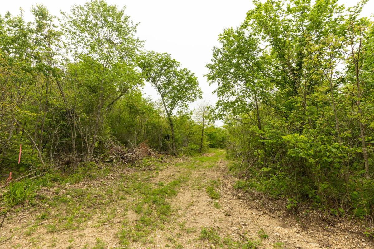 Decorative background for Double S Ranch Tract 5 image 13
