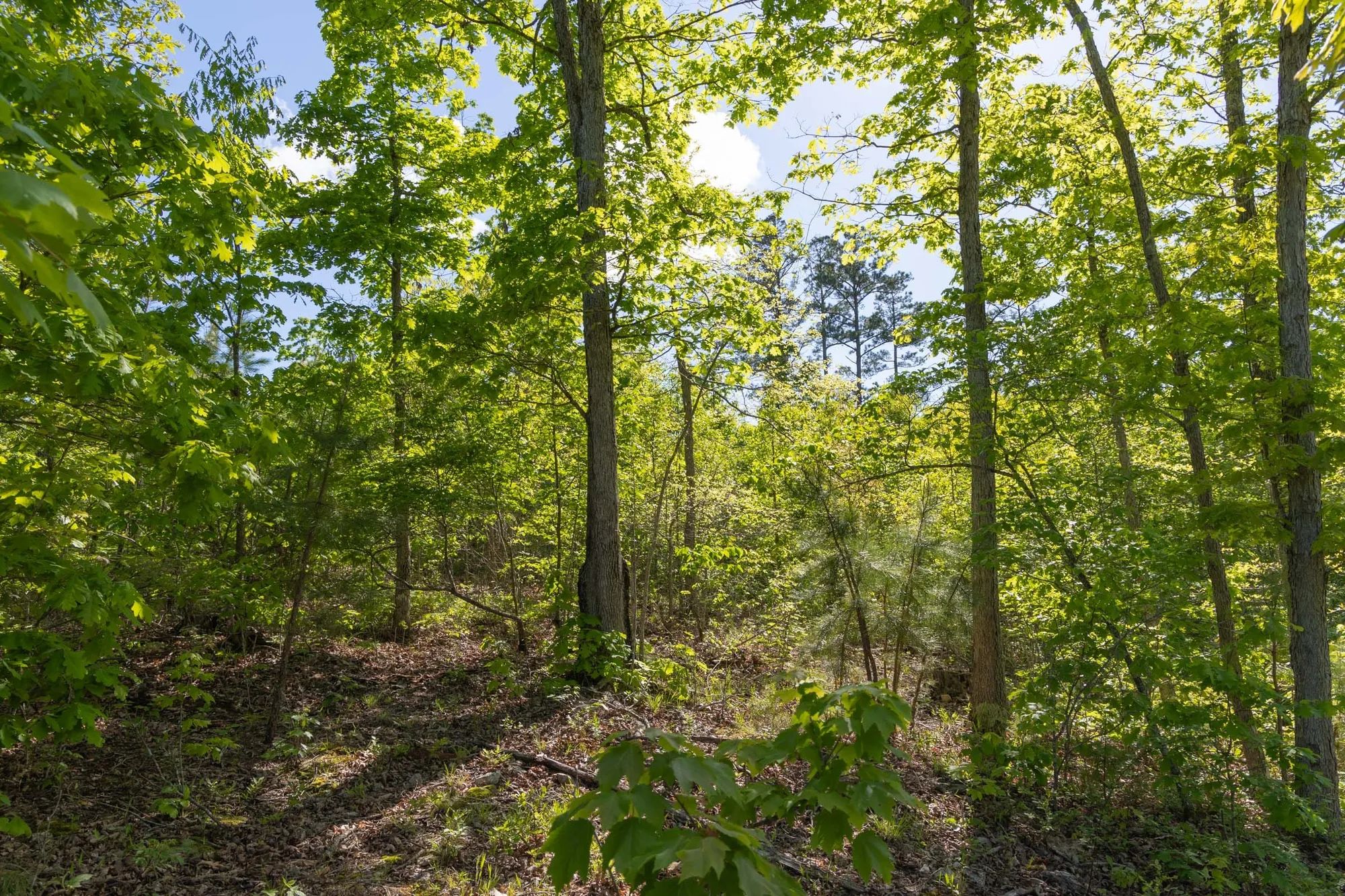 Sleepy Hollow Phase II Tract 63 in Texas County, MO