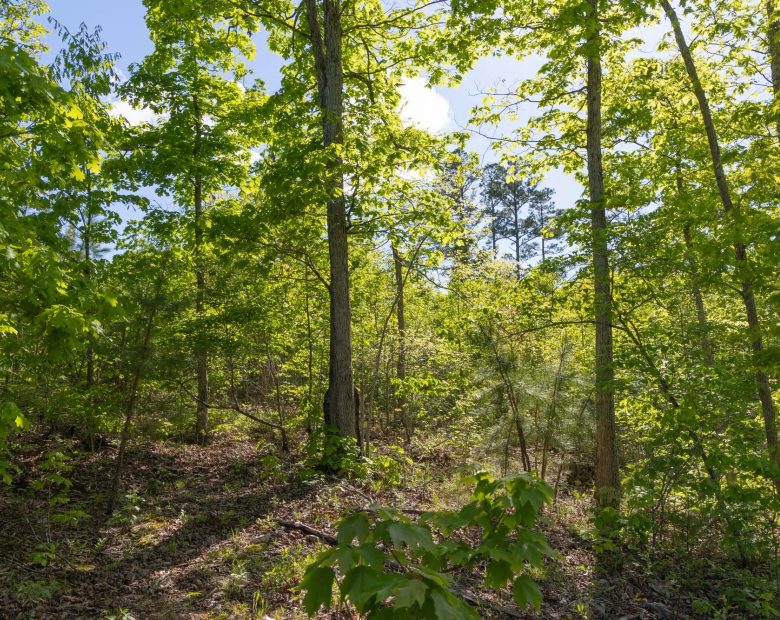 Sleepy Hollow Phase II Tract 63 in Texas County, MO