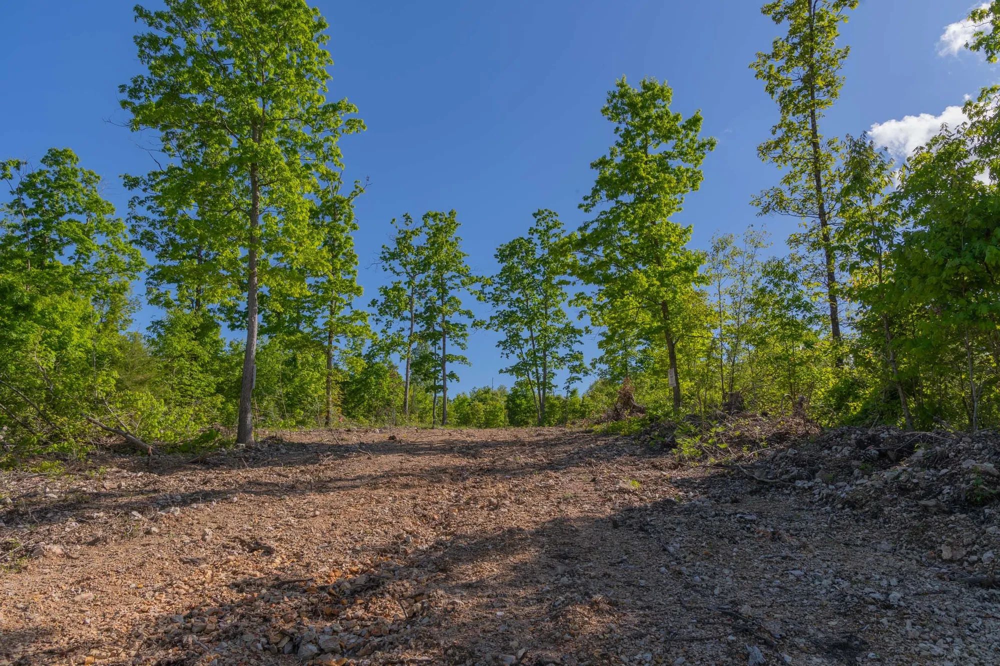 Sleepy Hollow Phase II Tract 63 in Texas County, MO