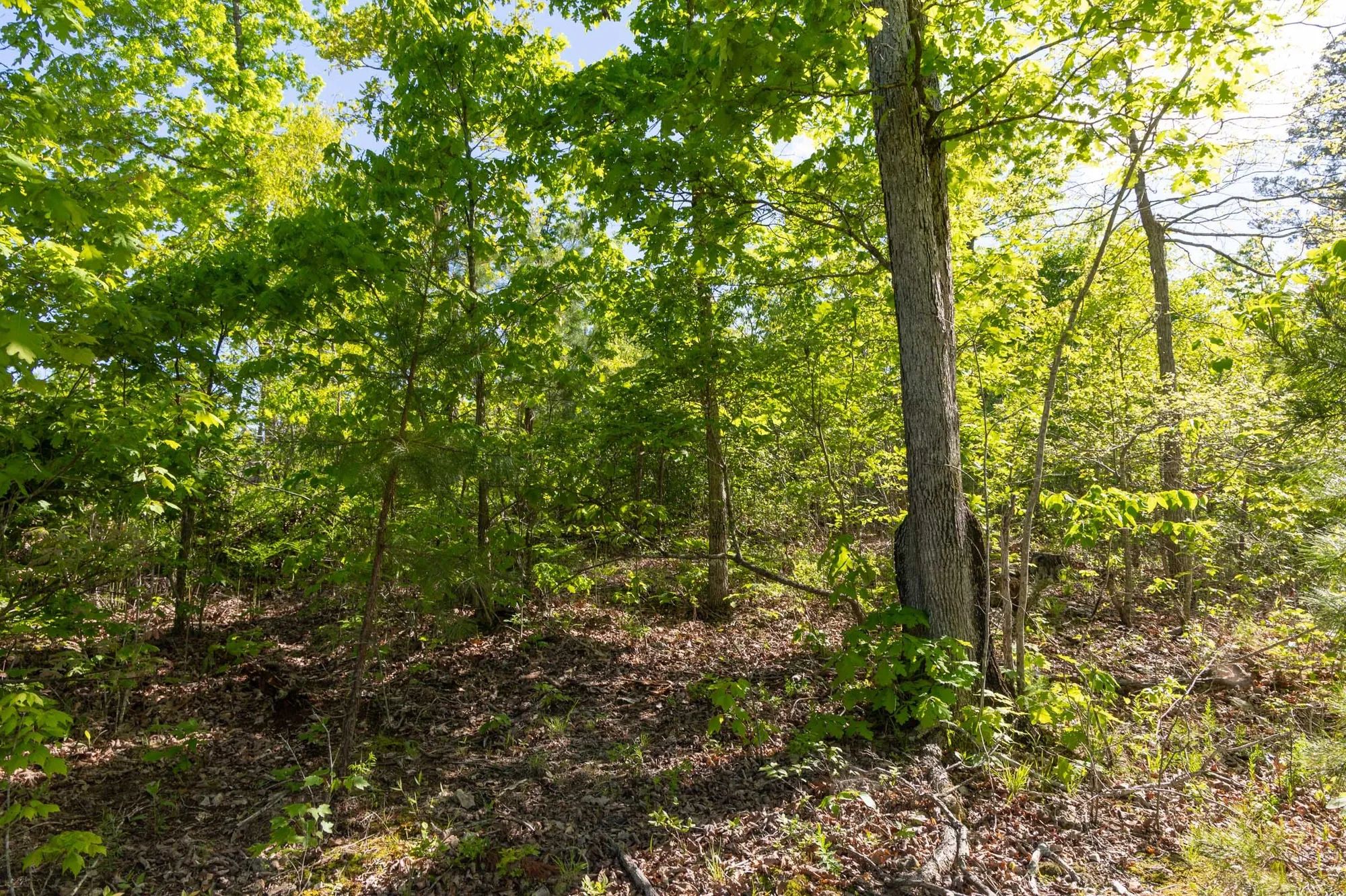Sleepy Hollow Phase II Tract 63 in Texas County, MO