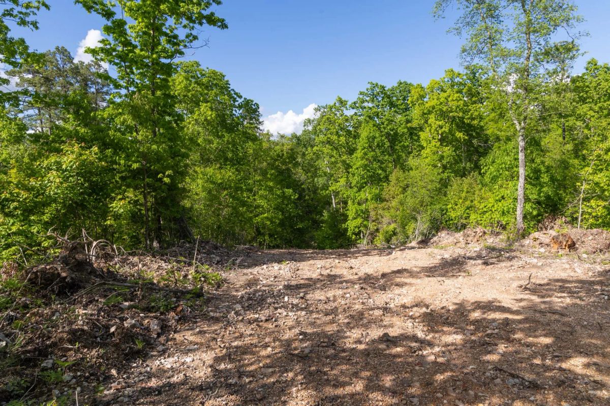 Decorative background for Sleepy Hollow Phase II Tract 63 image 5