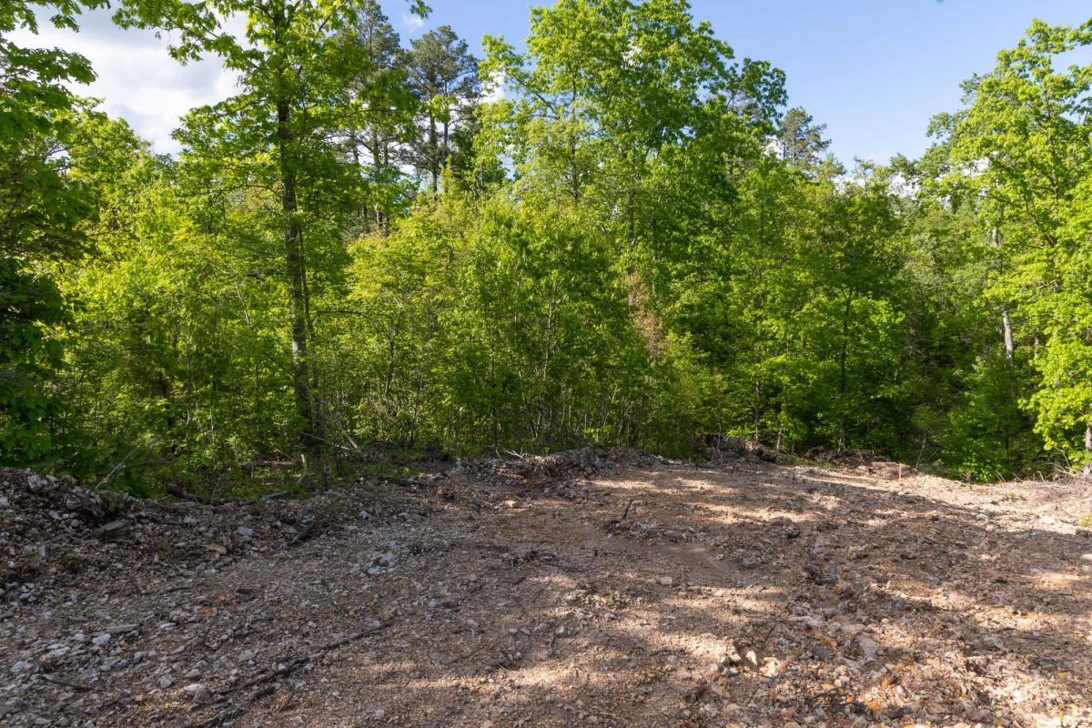 Decorative background for Sleepy Hollow Phase II Tract 63 image 9