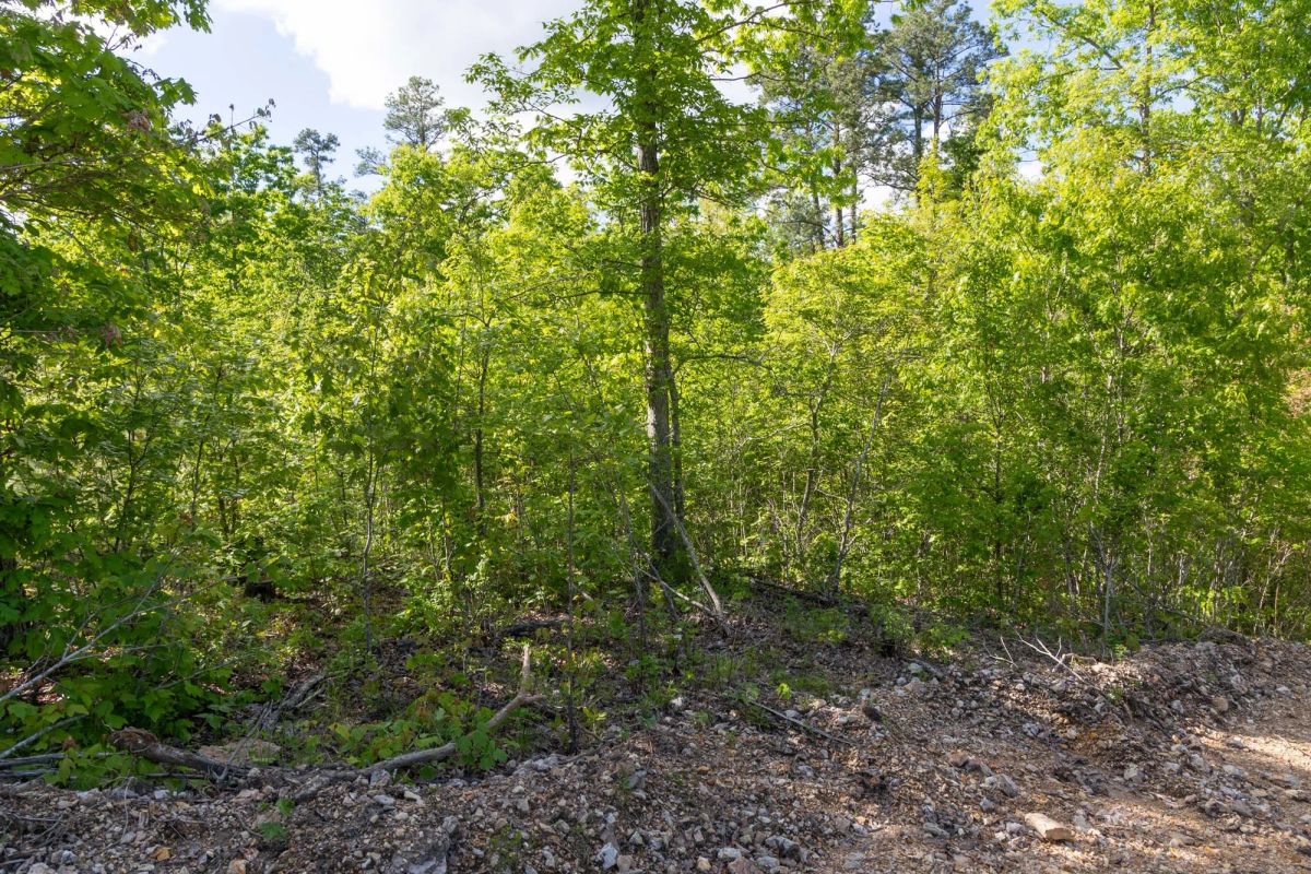 Decorative background for Sleepy Hollow Phase II Tract 63 image 12