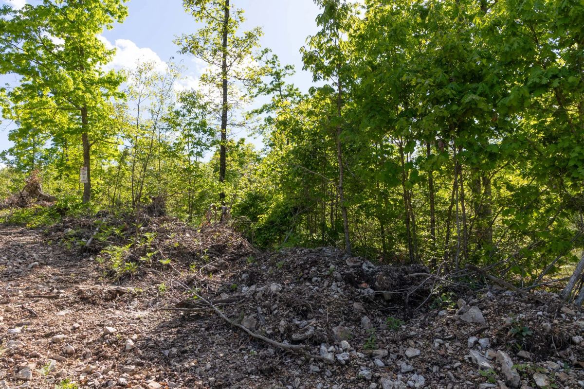 Decorative background for Sleepy Hollow Phase II Tract 63 image 14