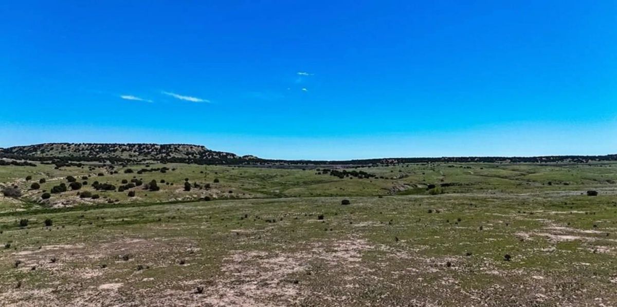 Colorado City Tract 204 - Image 4