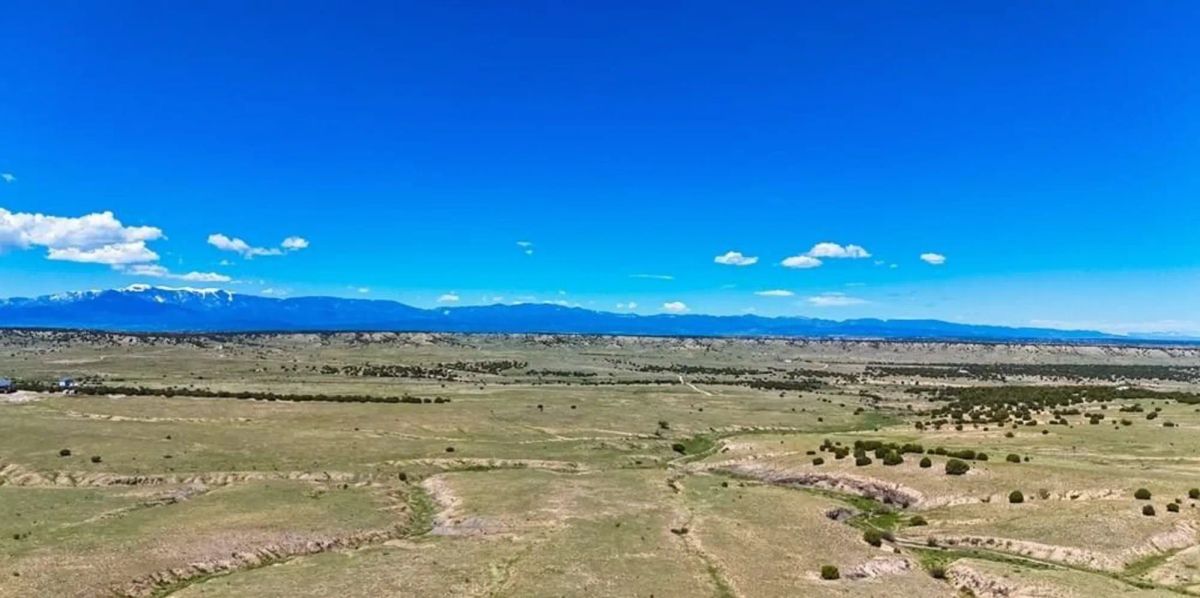 Decorative background for Colorado City Tract 204 image 5