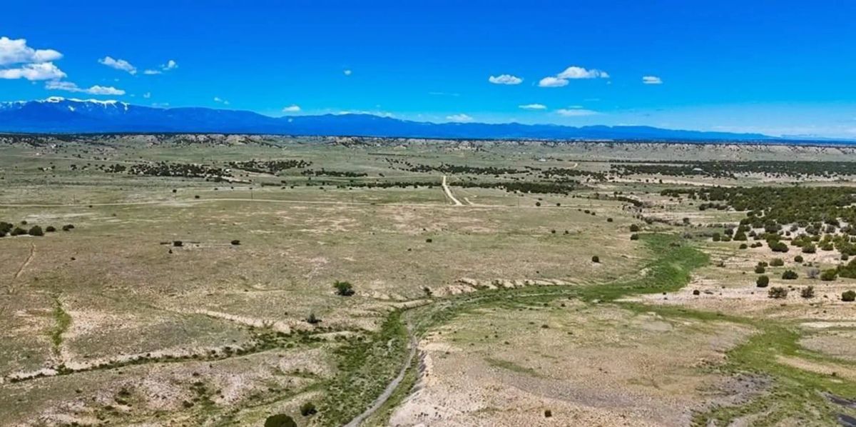 Decorative background for Colorado City Tract 204 image 7